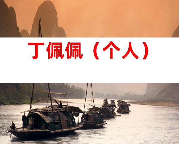 丁佩佩（个人）