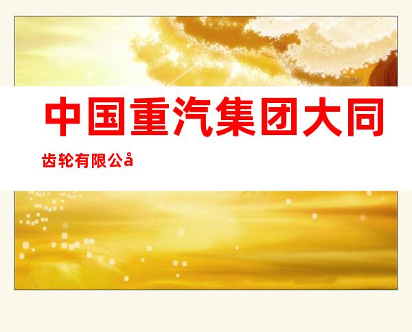 中国重汽集团大同齿轮有限公司