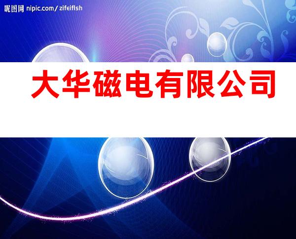大华磁电有限公司