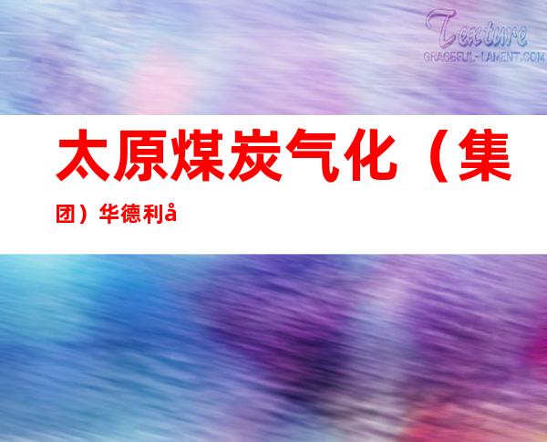 太原煤炭气化（集团）华德利工贸有限公司