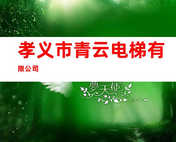孝义市青云电梯有限公司