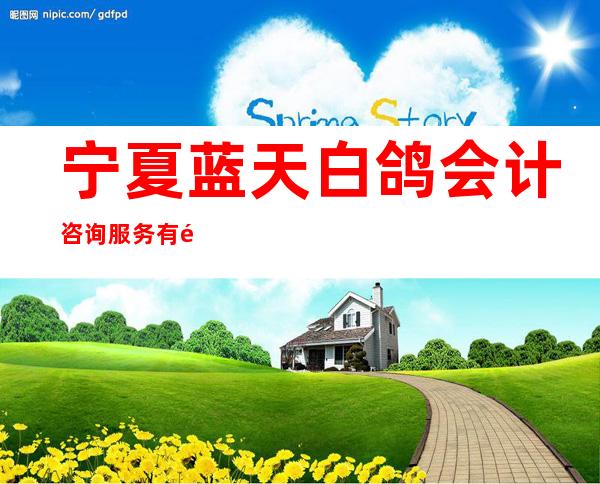 宁夏蓝天白鸽会计咨询服务有限公司