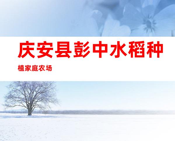 庆安县彭中水稻种植家庭农场